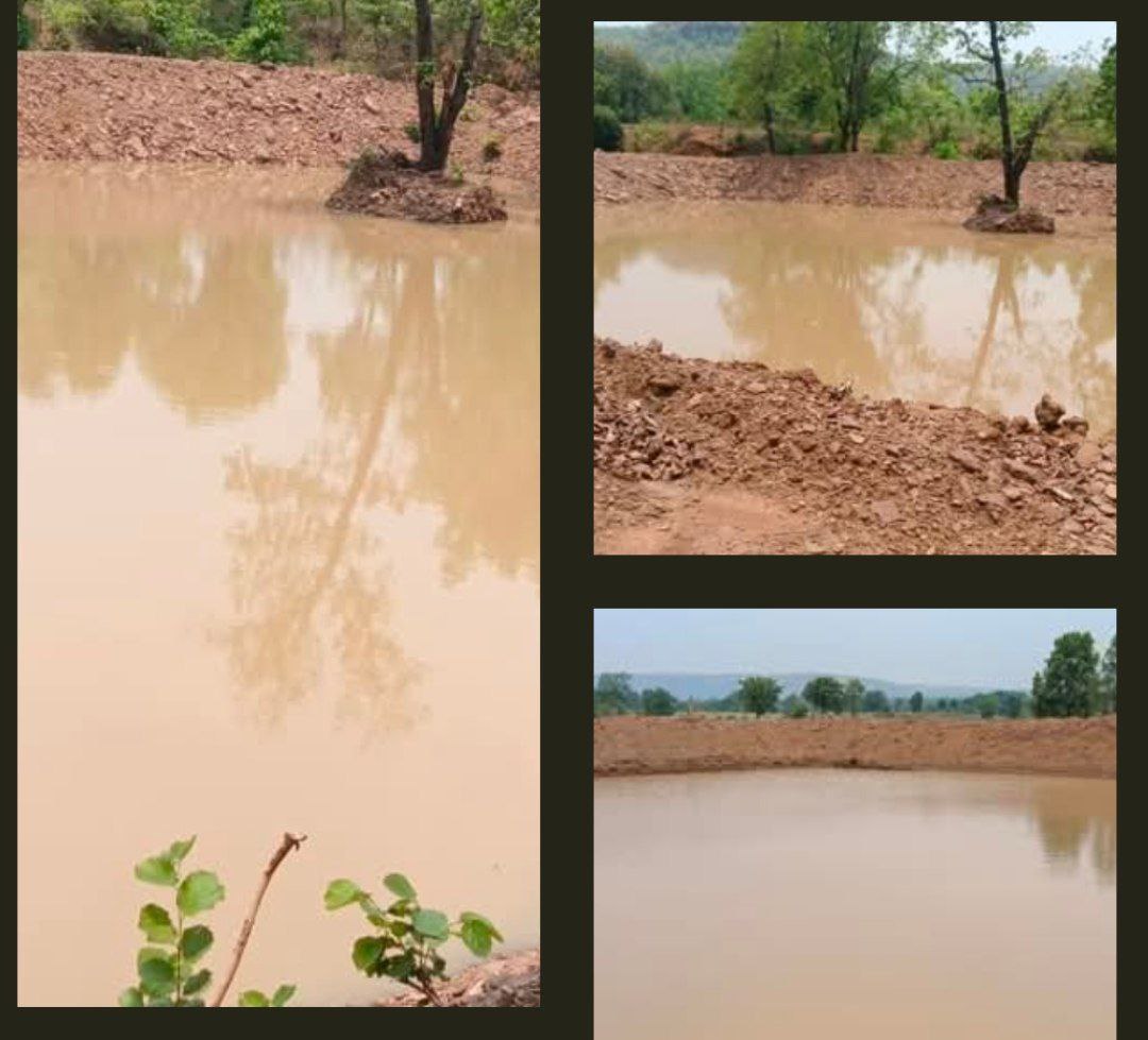 IMG_20250528_075611_308