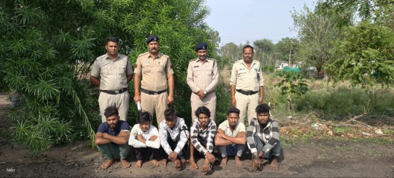 IMG_20250528_151003_510