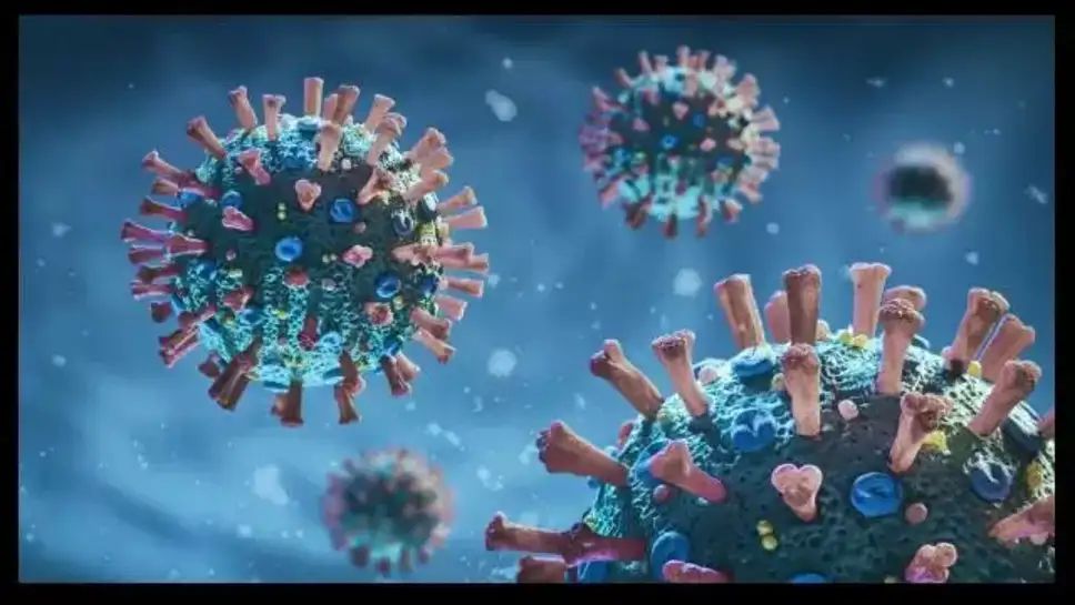 IMG_20250530_211844_706