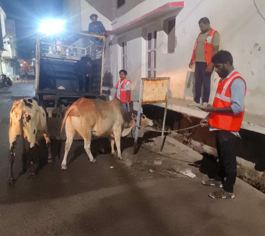 IMG_20250531_201245_737