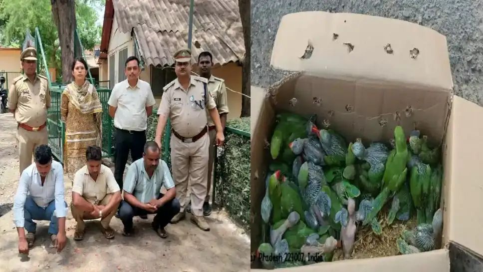 IMG_20250602_075914_838