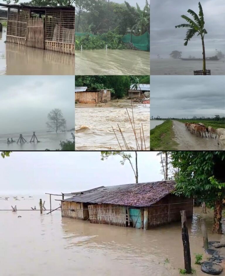 IMG_20250602_143557_292