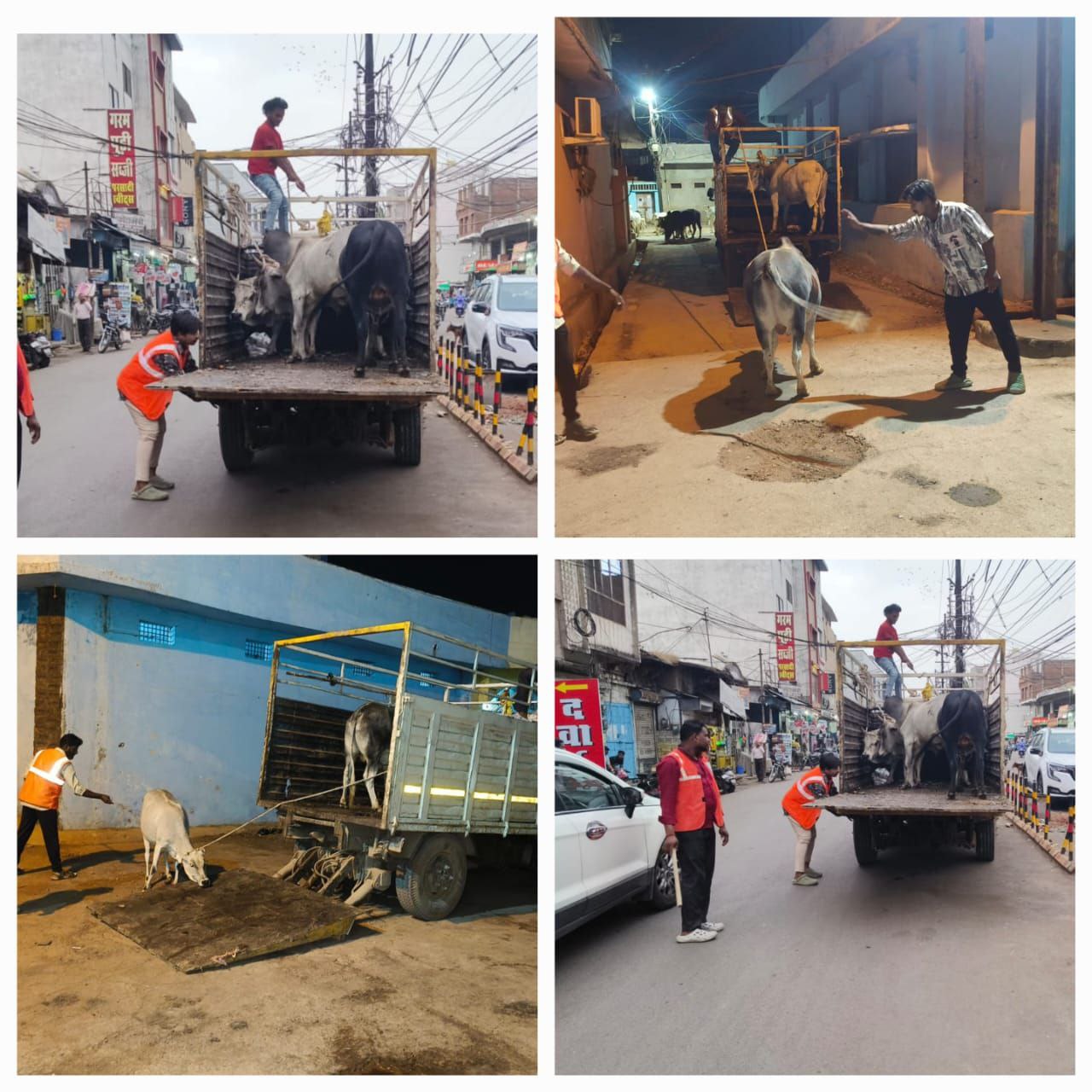 IMG_20250602_152058_888