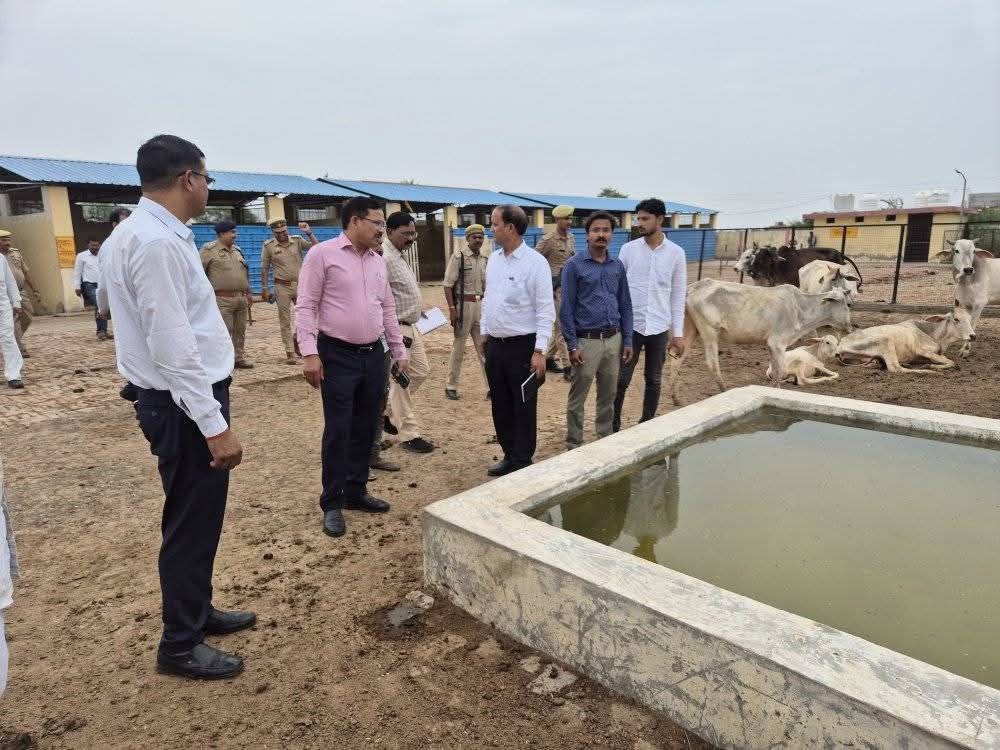 IMG_20250604_202401_053