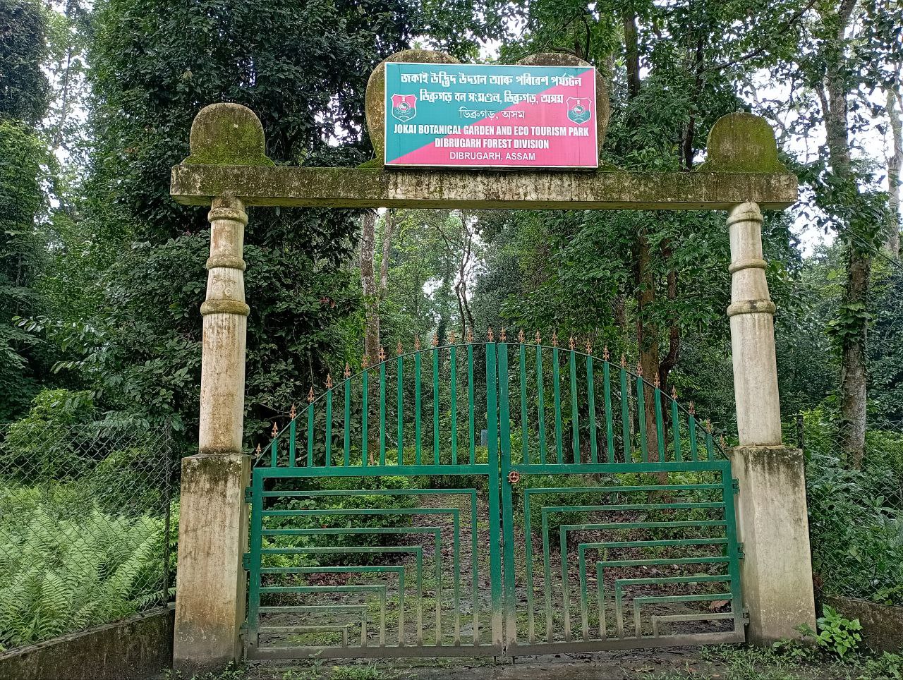 IMG_20250605_143526_929