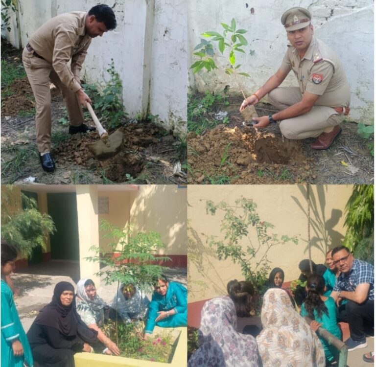 IMG_20250605_204315_060