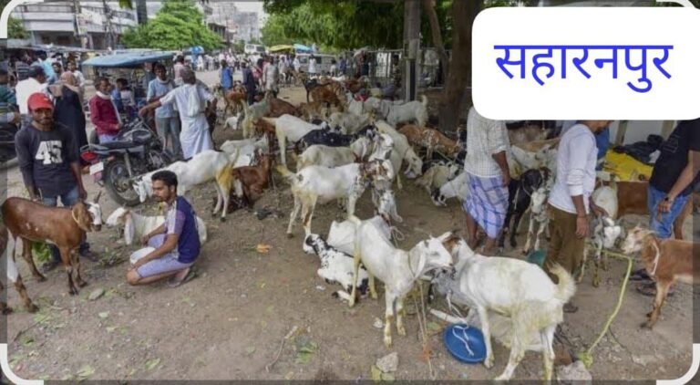 IMG_20250606_123329_983