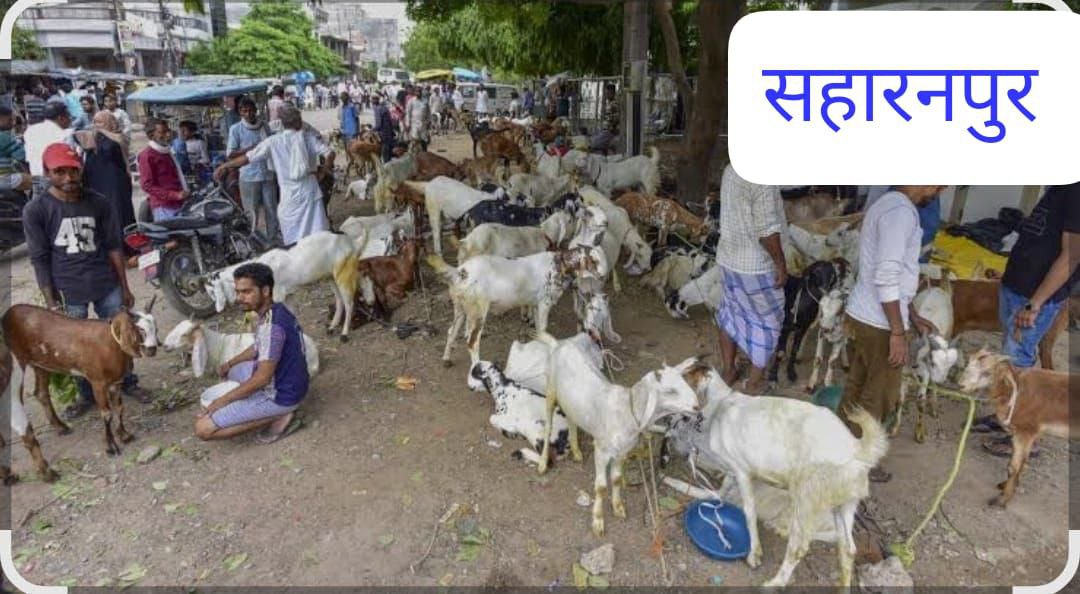 IMG_20250606_123329_983