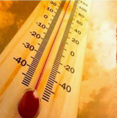 IMG_20250606_195008_291