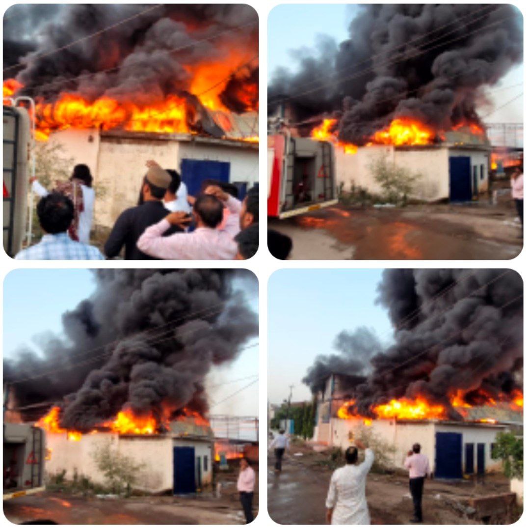 IMG_20250608_124421_675