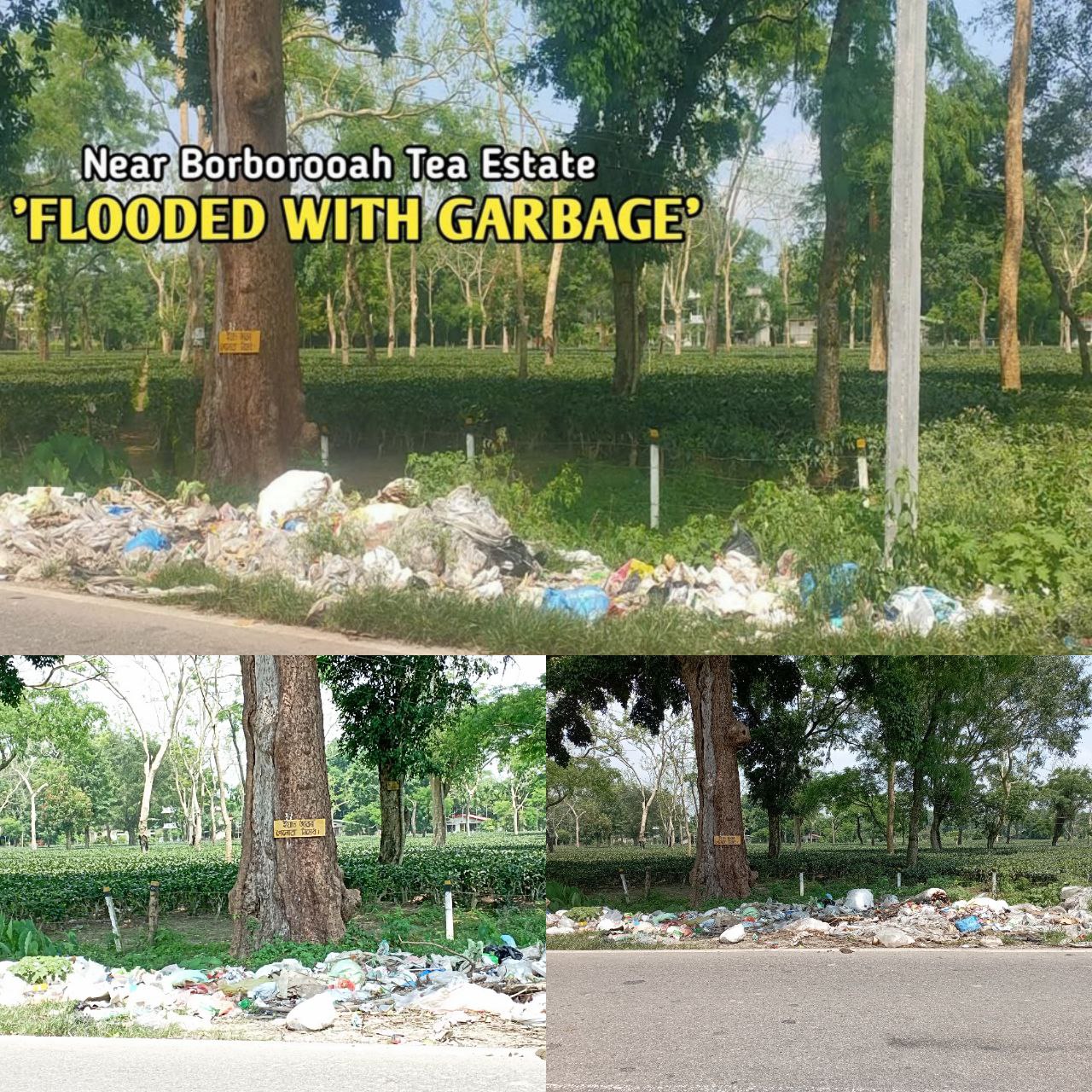 IMG_20250608_152915_578