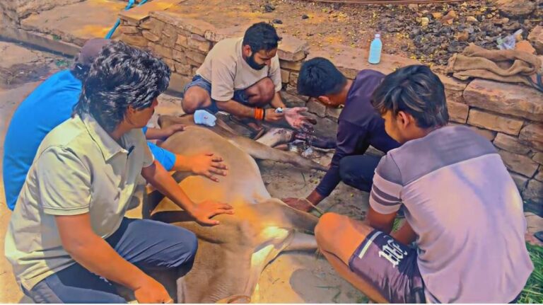 IMG_20250608_202955_601