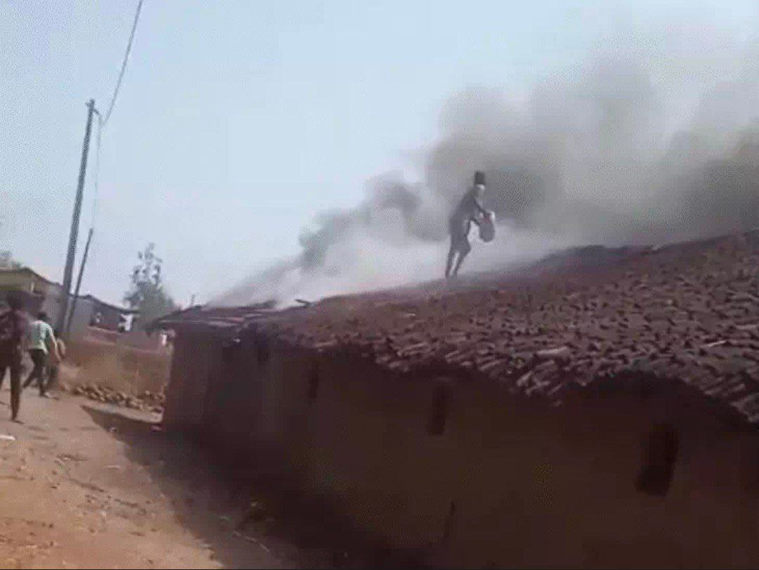 IMG_20250611_094109_510