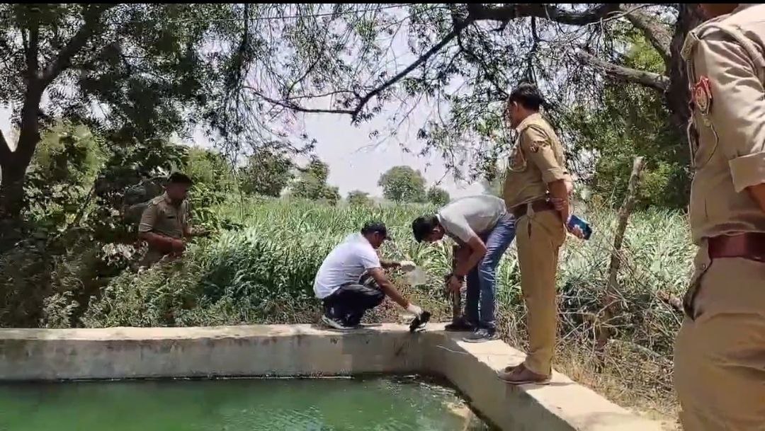 IMG_20250611_101150_961