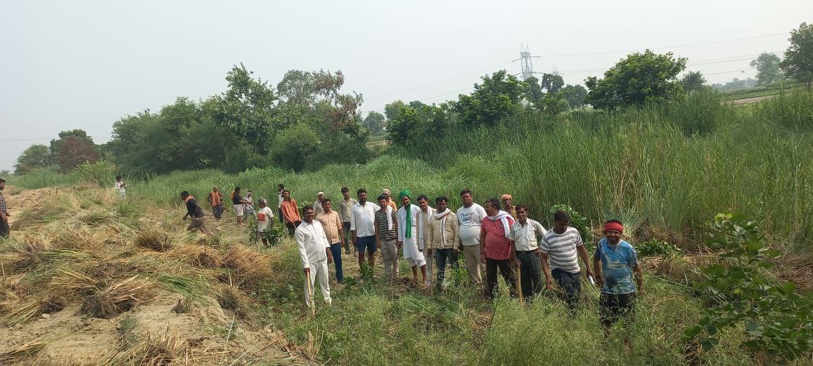 IMG_20250612_200347_805