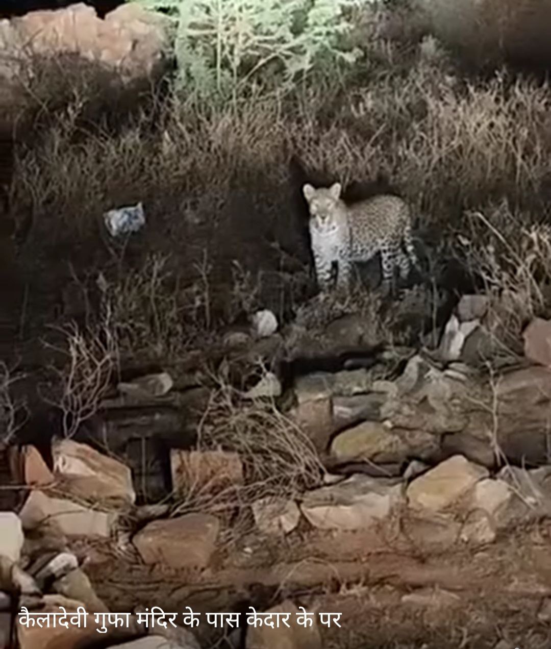 IMG_20250613_125720_106