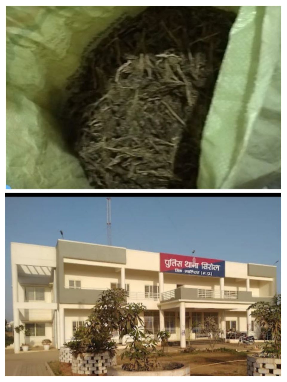 IMG_20250616_131711_327