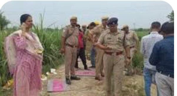 IMG_20250617_070845_670