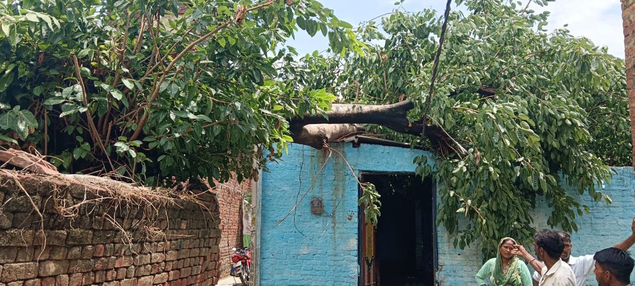 IMG_20250617_081008_813