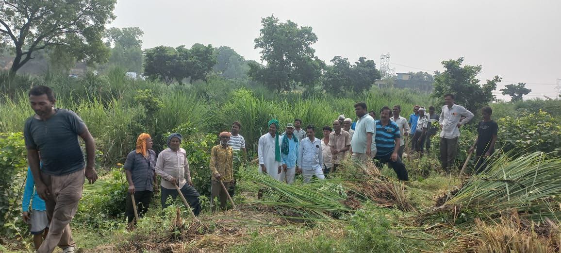 IMG_20250617_191230_854