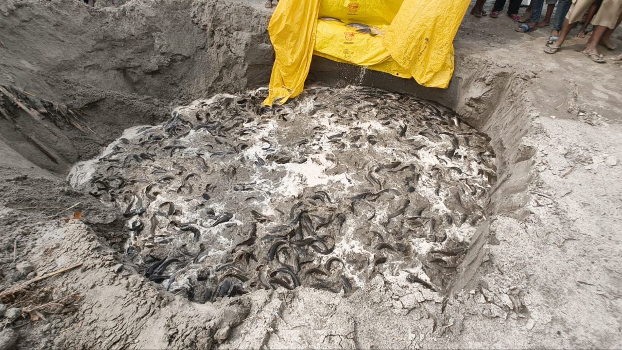 IMG_20250617_191323_862