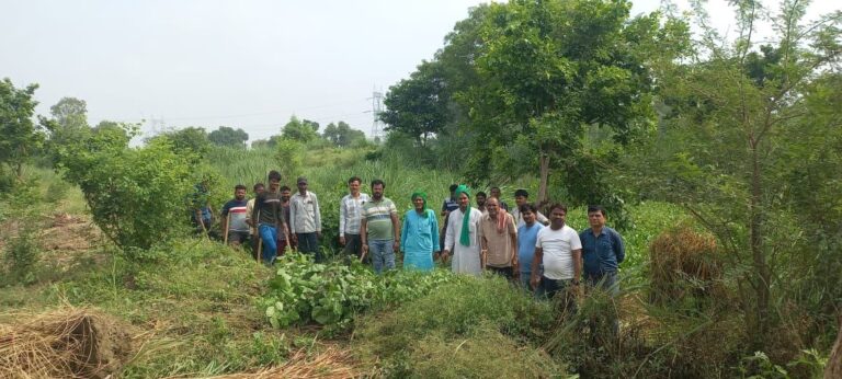 IMG_20250618_193519_003