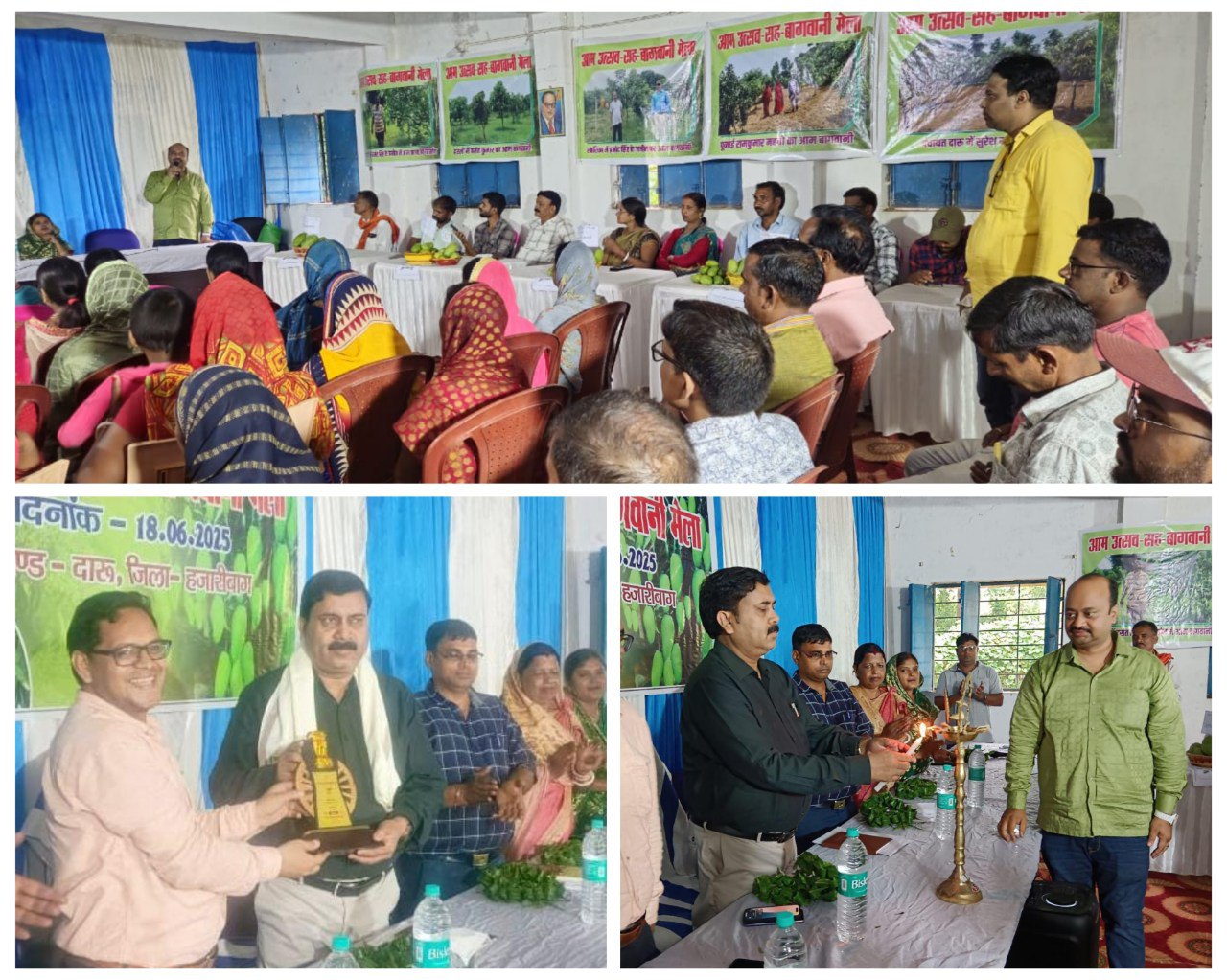 IMG_20250618_194452_022