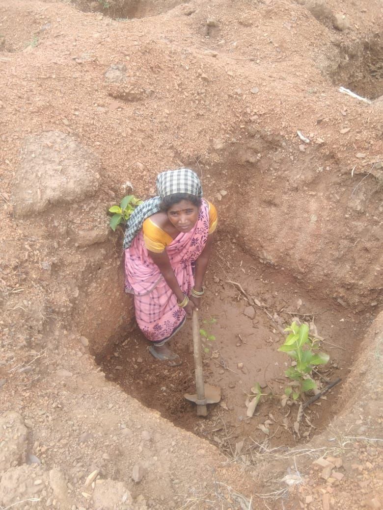 IMG_20250619_123452_747