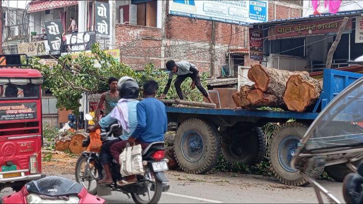 IMG_20250621_144916_226