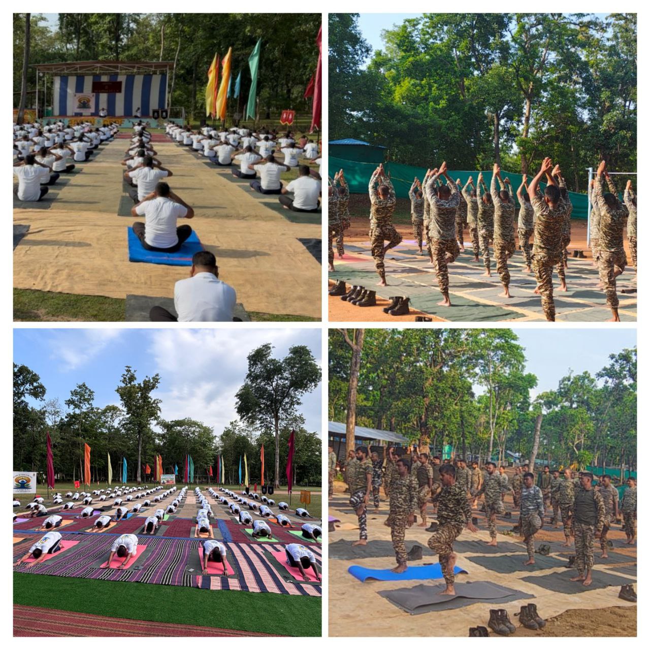 IMG_20250621_145651_803