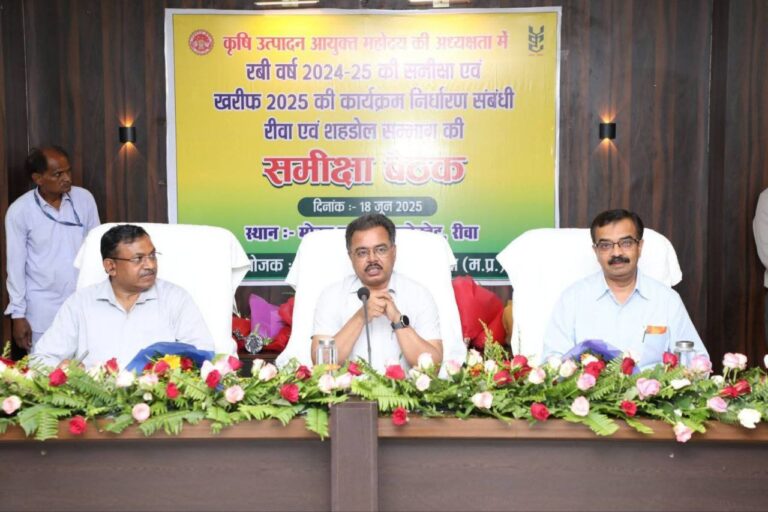 IMG_20250622_145312_996