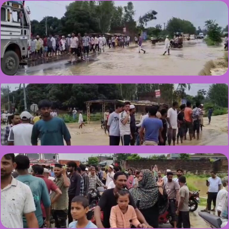 IMG_20250624_124714_562