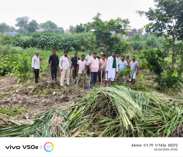 IMG_20250624_192126_933