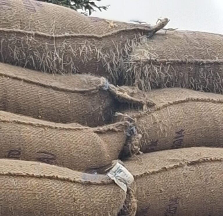 IMG_20250624_193847_646