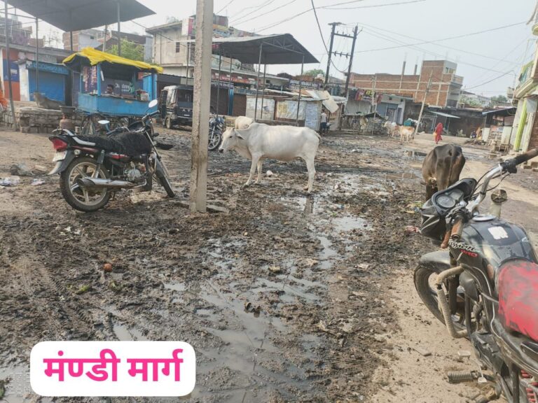 IMG_20250624_212009_798