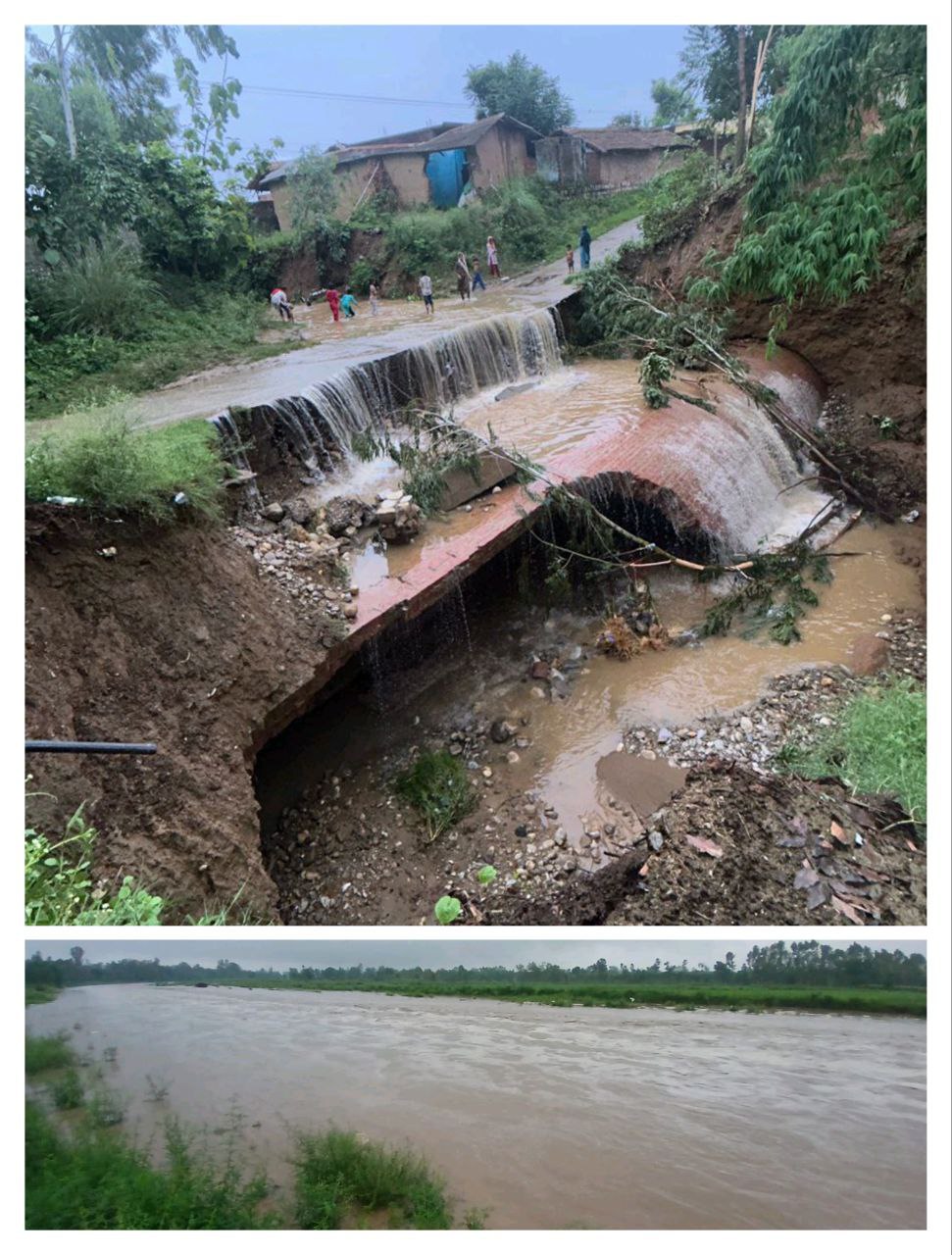 IMG_20250625_115943_974