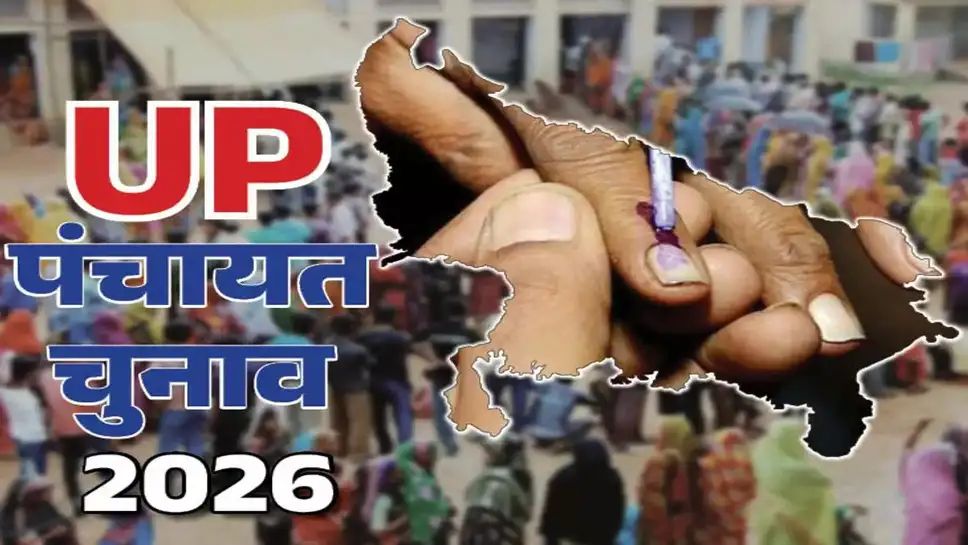 IMG_20250626_122712_708