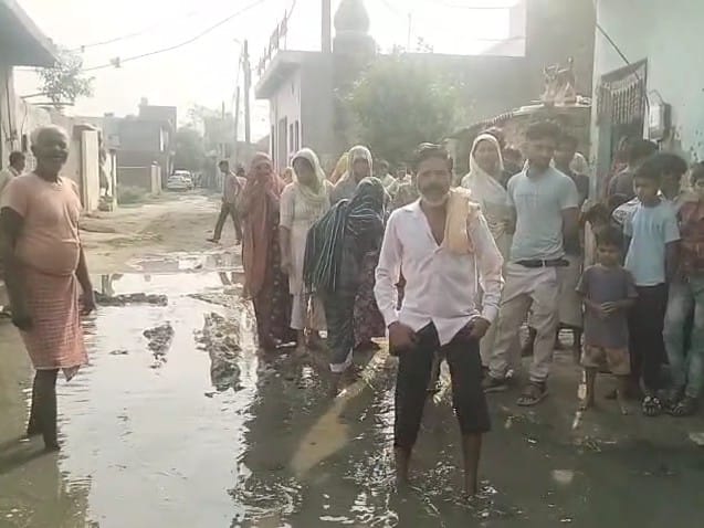 IMG_20250627_131909_719