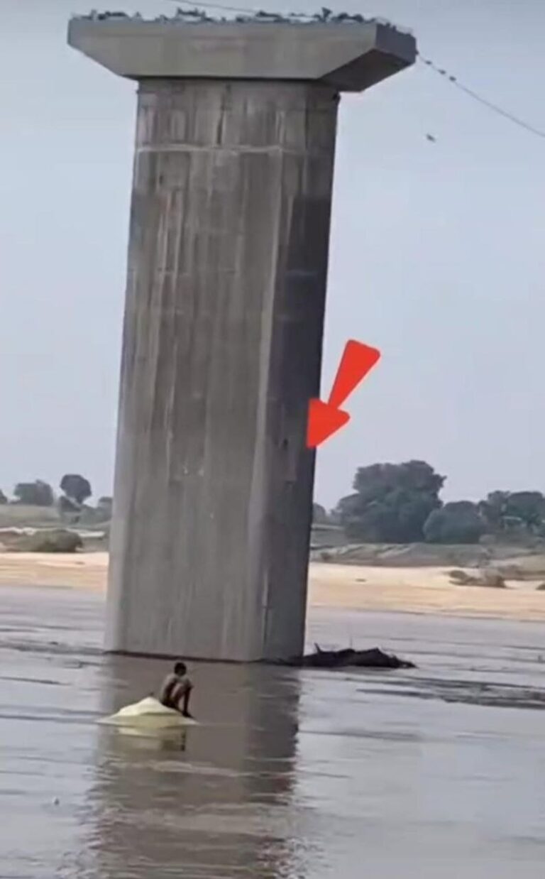 IMG_20250627_135139_501