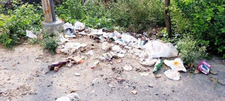 IMG_20250627_140641_961