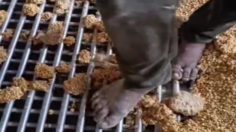 IMG_20250627_142918_793