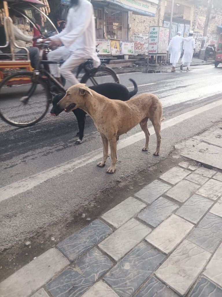 IMG_20250627_221013_275