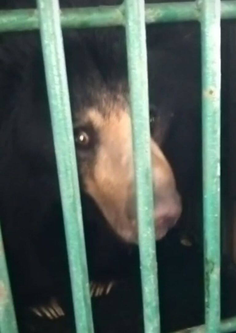 IMG_20250628_195242_762