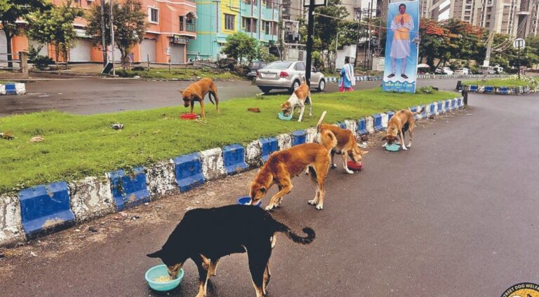 IMG_20250630_125836_529