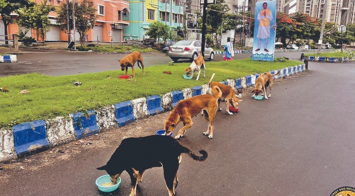 IMG_20250630_125836_529