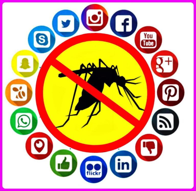 IMG_20250630_185959_619