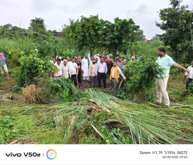 IMG_20250630_202618_807