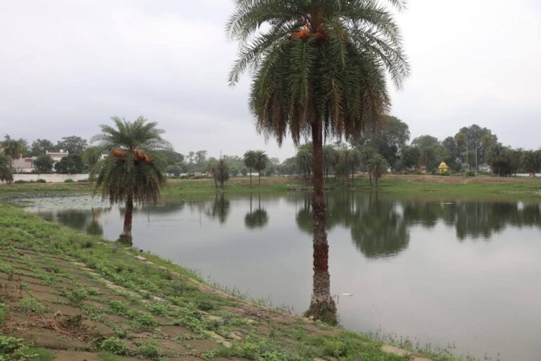 IMG_20250701_124752_672