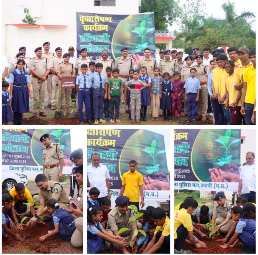 IMG_20250701_193354_731