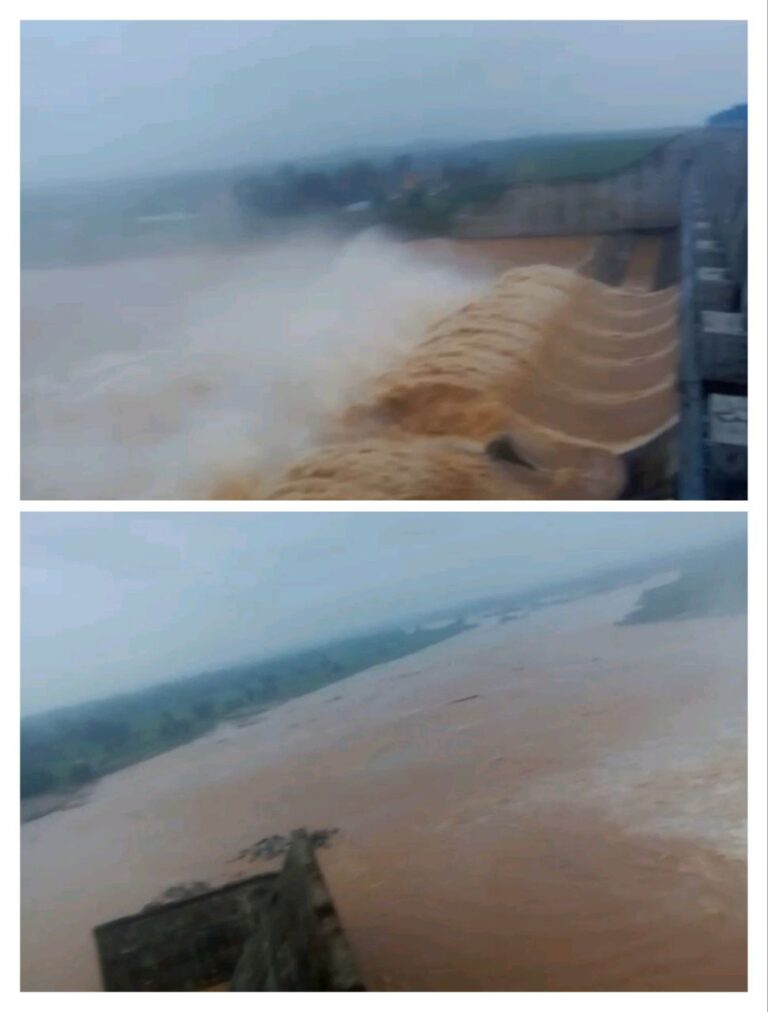 IMG_20250701_193736_846